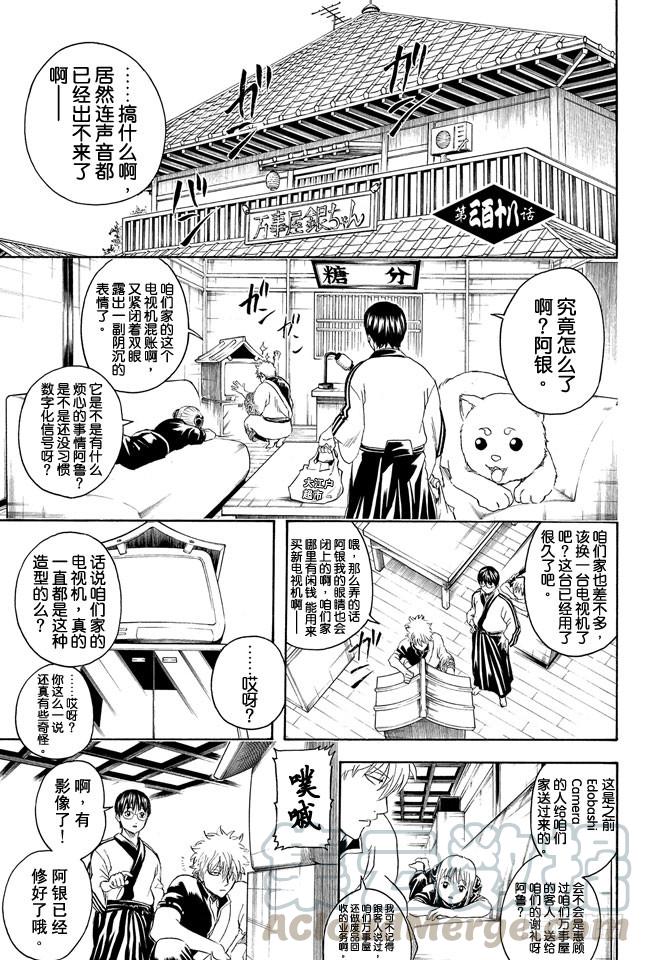 银魂 - 第318话 眼镜是灵魂的一部分 - 1